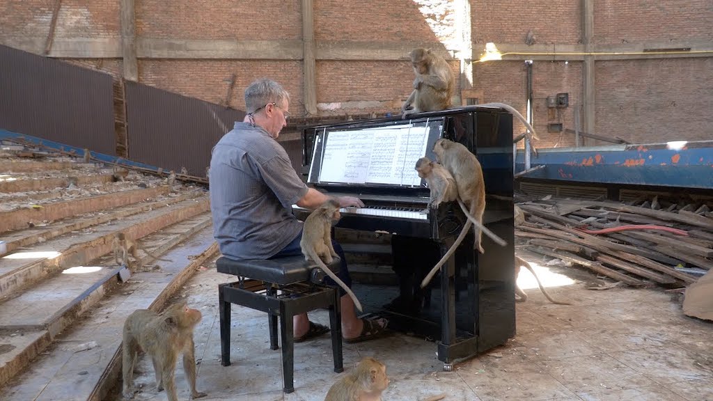 Playing Piano for Macaques