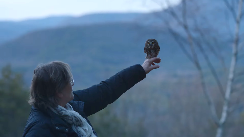 The Tiny Owl Rescued From the Rockefeller Center Christmas Tree Is Released Back Into the Wild