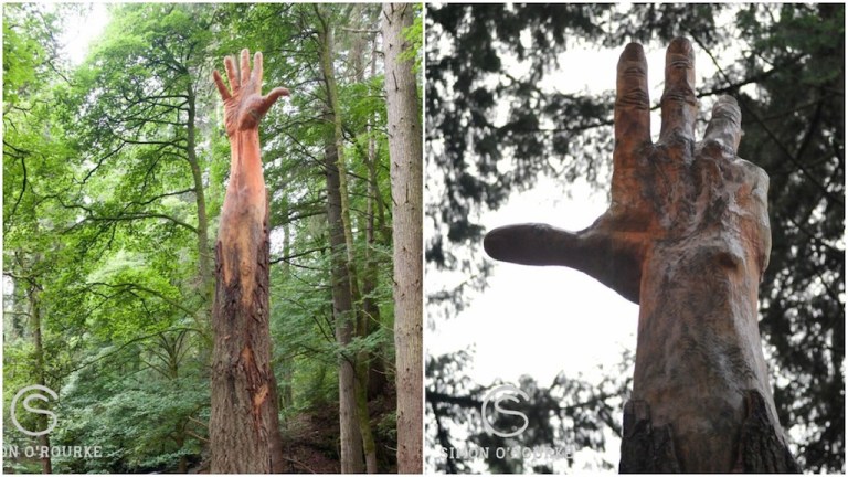 The Giant Hand Of Vyrnwy