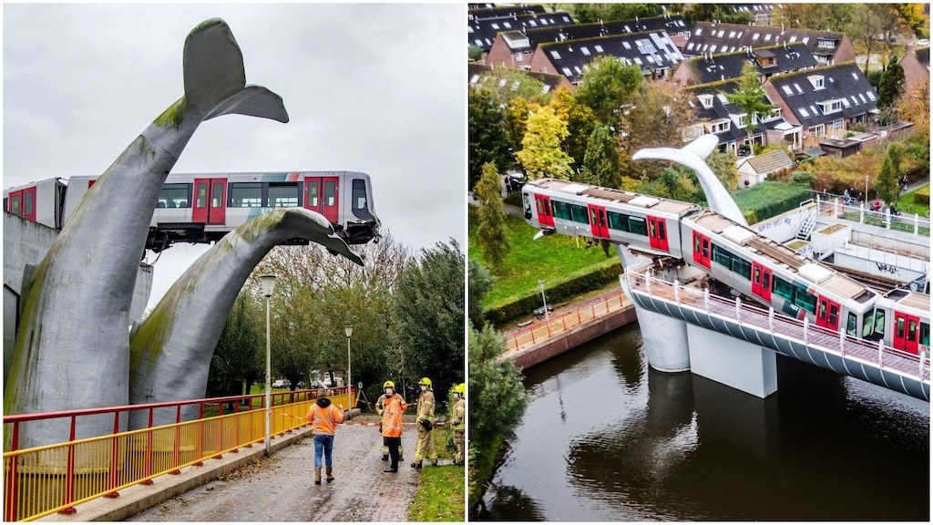 Whale-Tail-Commuter-Train-Rotterdam-Resc