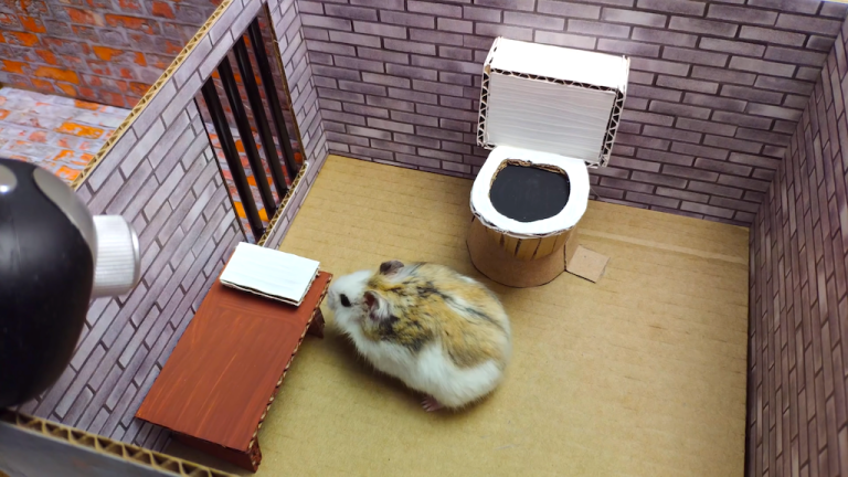 Hamster Prison Break