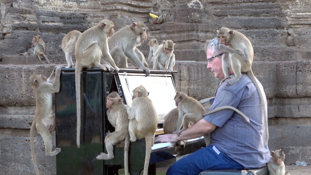 Music-for-Macaques.jpg