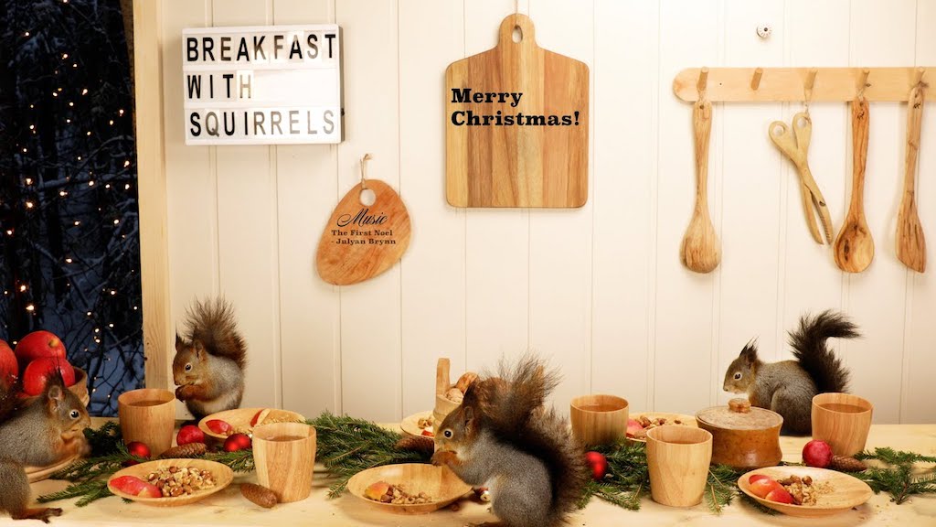 Squirrels Christmas Breakfast