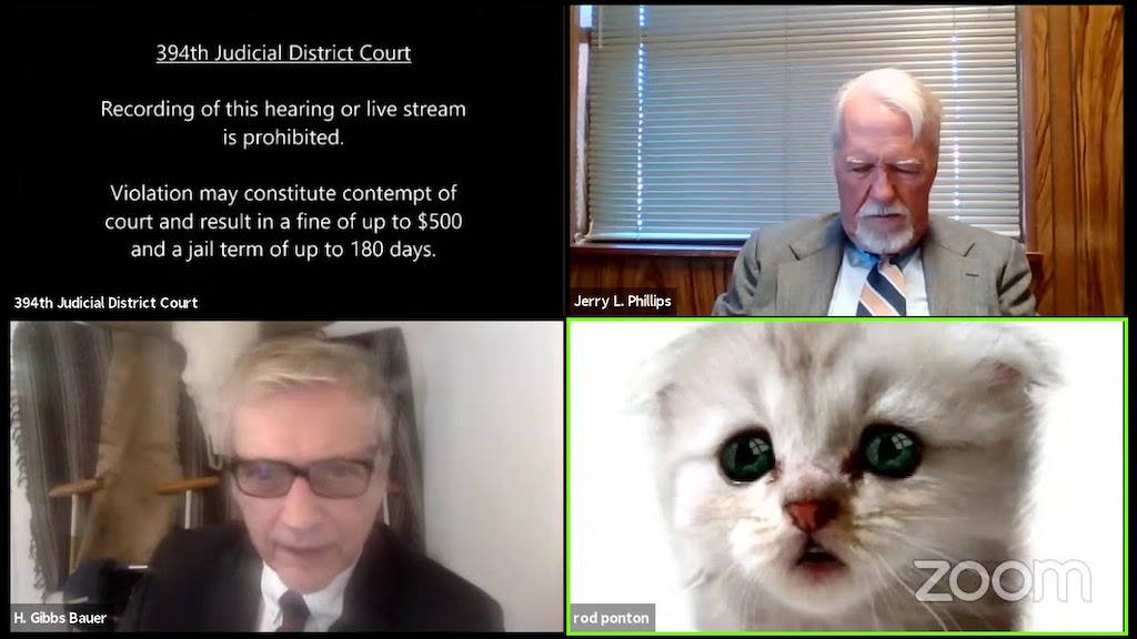 Cat Lawyer Zoom