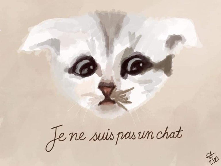 Chat