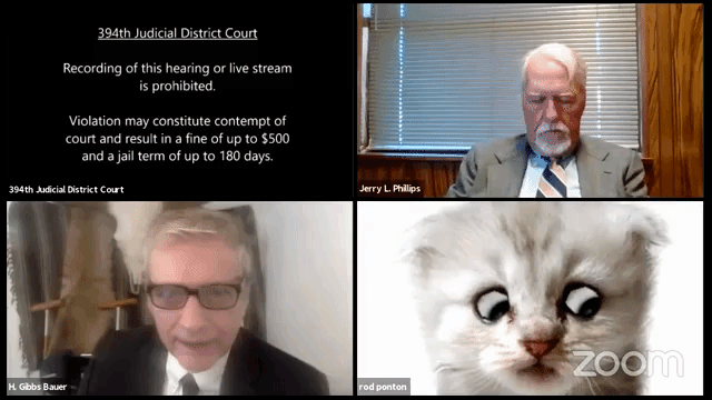 Court Lawyer Kitten Zoom