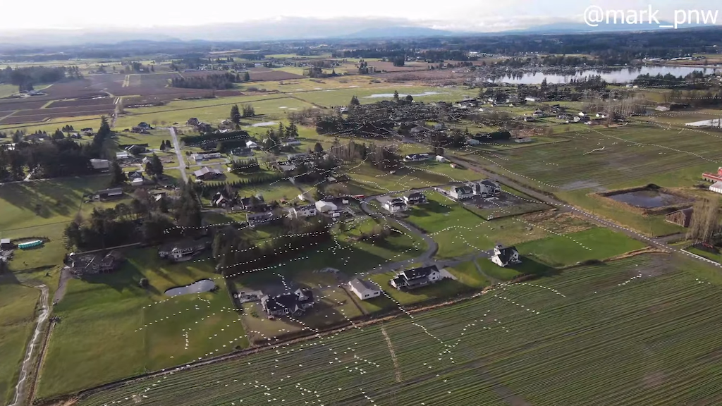 Drone-Captures-Beautiful-Flock-of-Wild-G