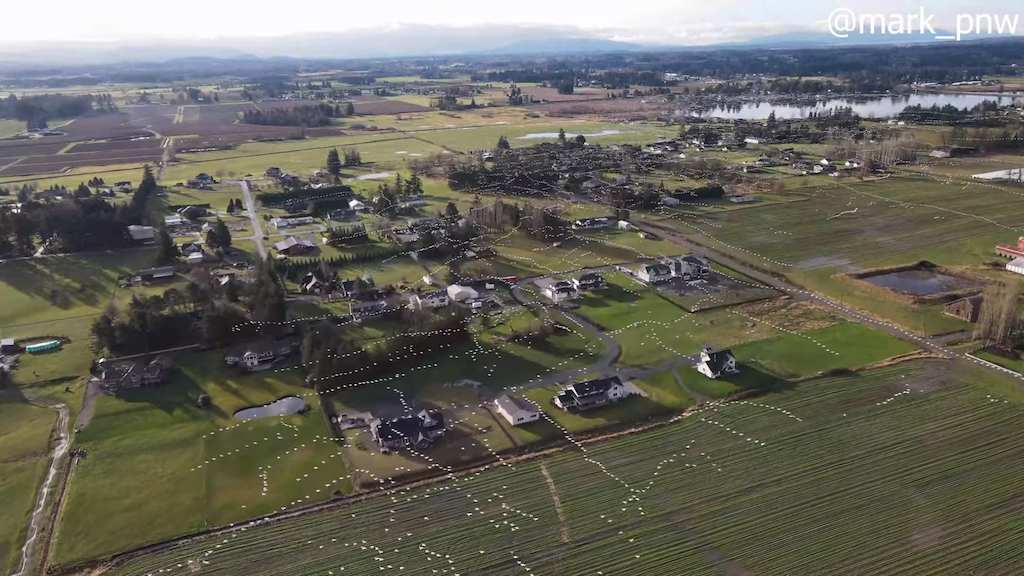 Drone Captures Beautiful Flock of Wild Geese Flying in Sequence