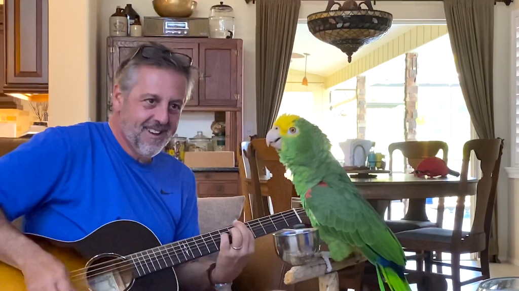 Parrot Sings