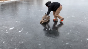 Saving a Stranded Deer by Sliding It Acros Frozen Pond
