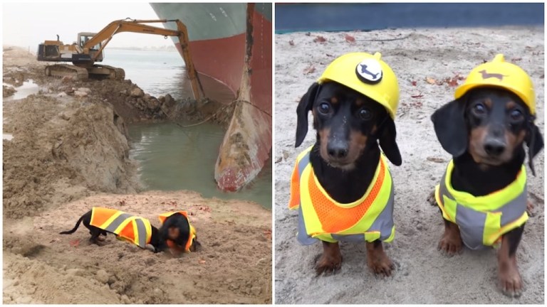 Crusoe Oakley Suez Canal