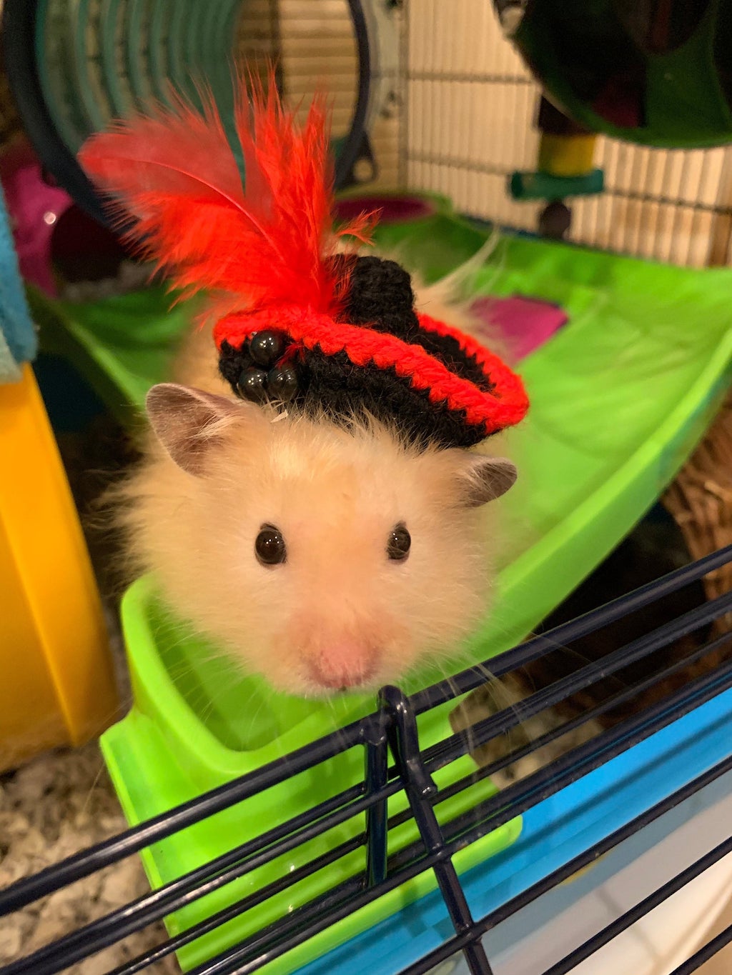 Feather Hat for Pets