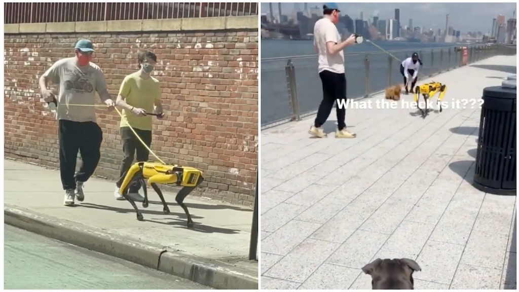 Boston Dynamics Spot Robot Goes For a Walk on a Leash Along the East ...