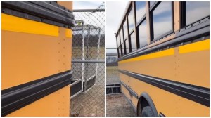 Three Black Lines on School Buses