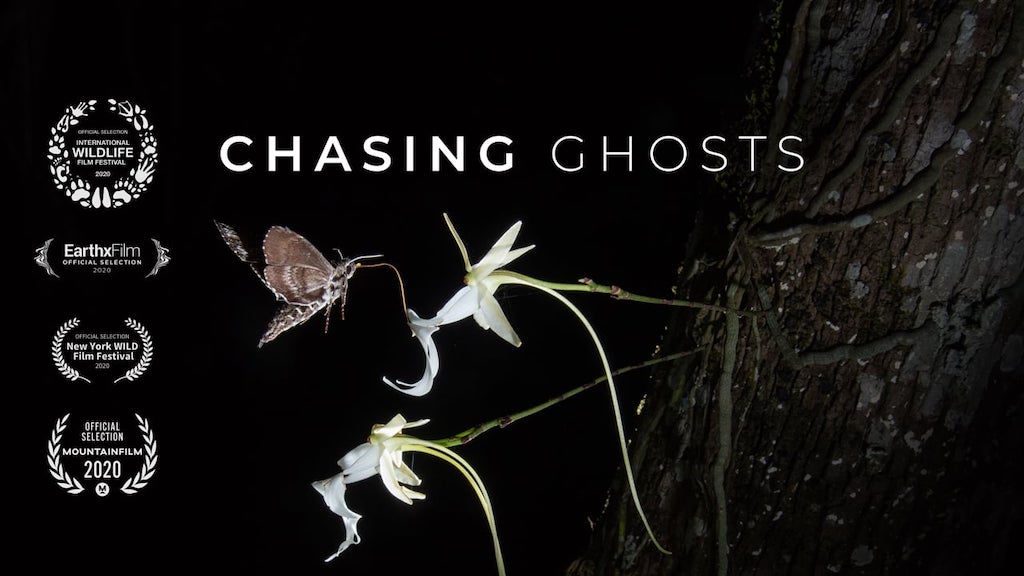 Chasing Ghosts Film