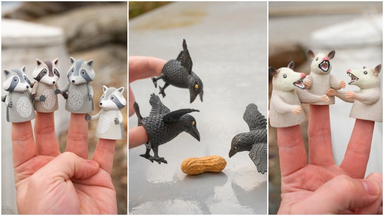 Crows Raccoon Possum Finger Puppets Archie McPhee