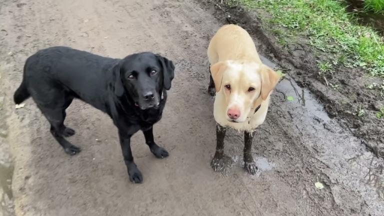 Olive and Mabel Keeping Up Appearances