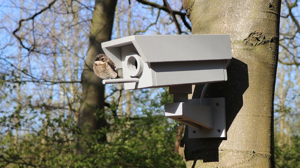 Security Camera Birdhouse