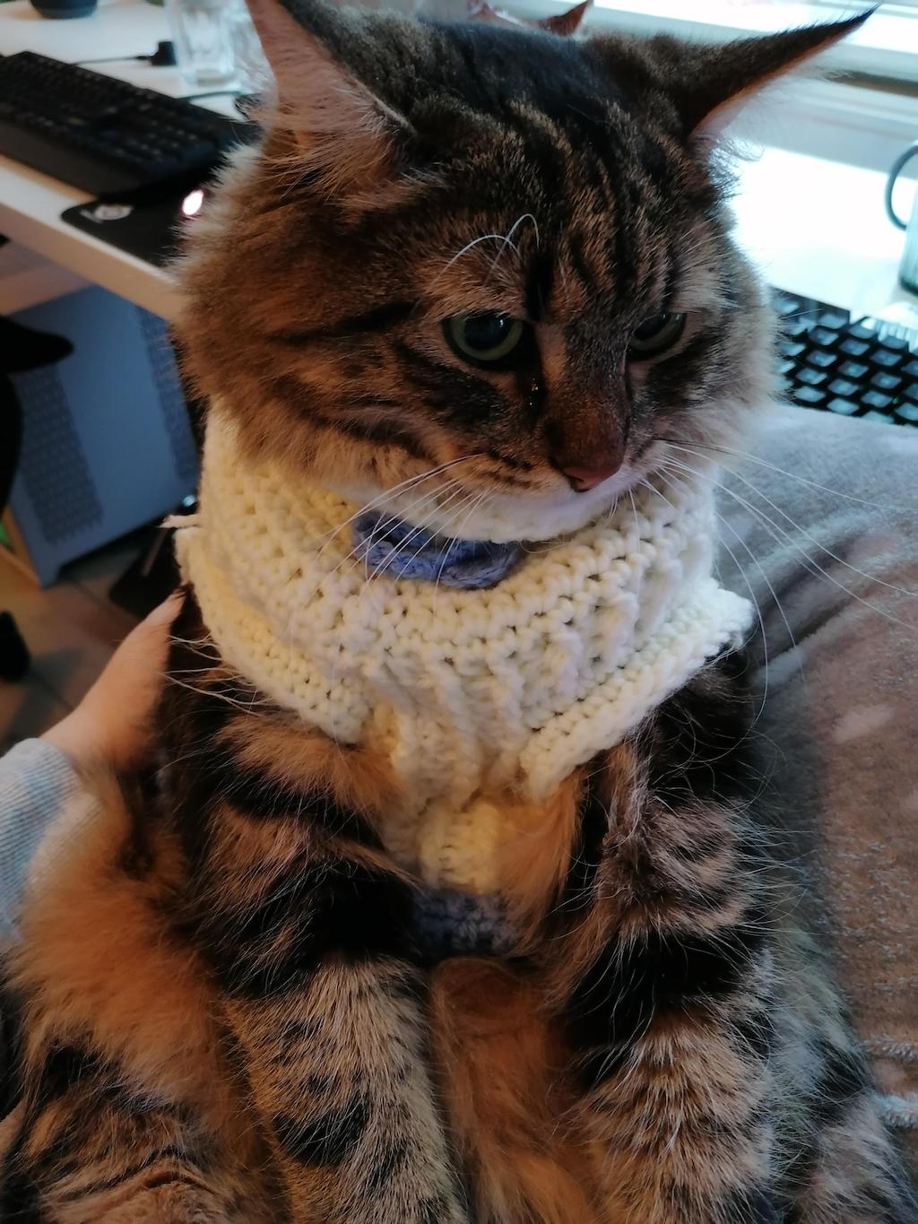 Voxel In Sweater Sitting Up