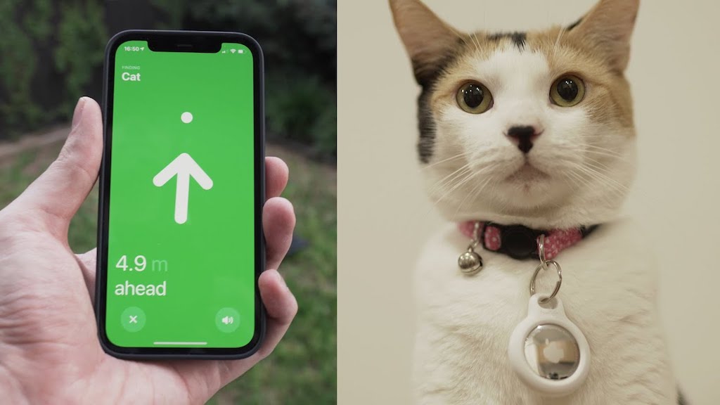 Apple Air Tags on Cat