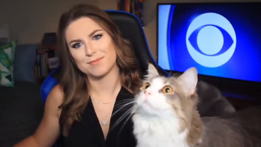 Cat interrupts News Broadcast to Stare at a Fly