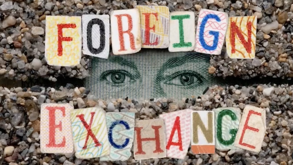 Foreign Exchange Stop Motion Animation