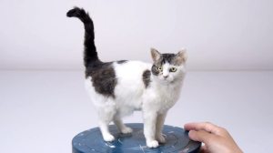 How to Make a Realistic Cat From Felted Wool