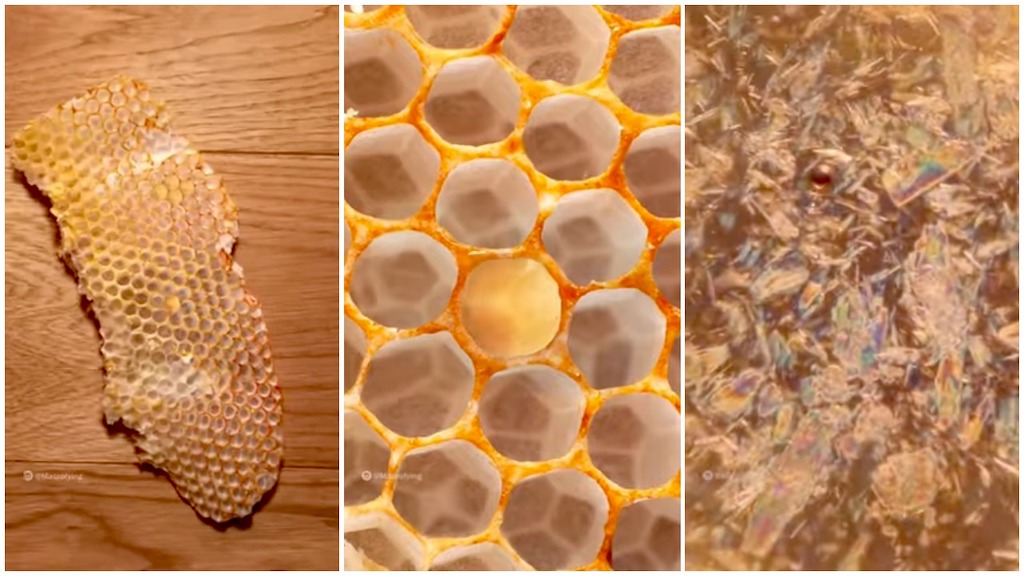 Macro of Honeycomb