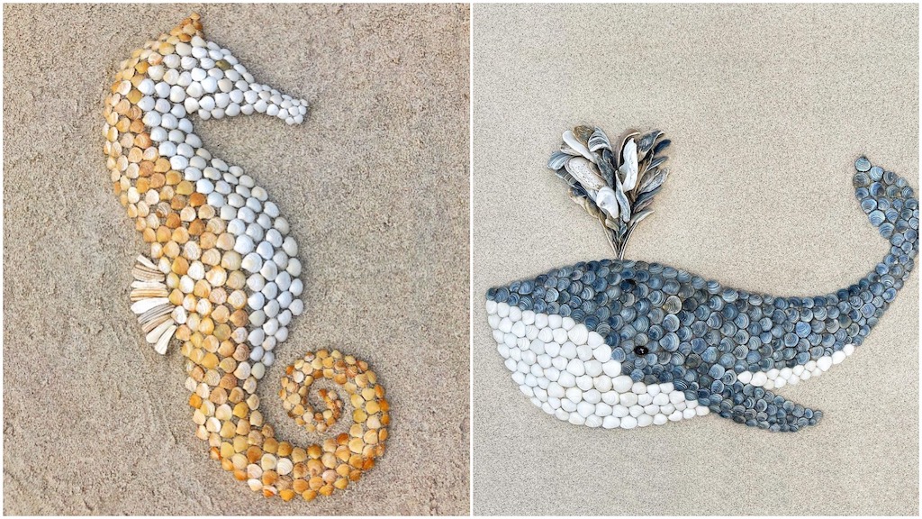 Seashell Animal Murals