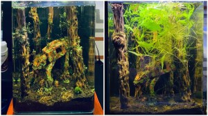 Star Wars AT AT Fish Tank