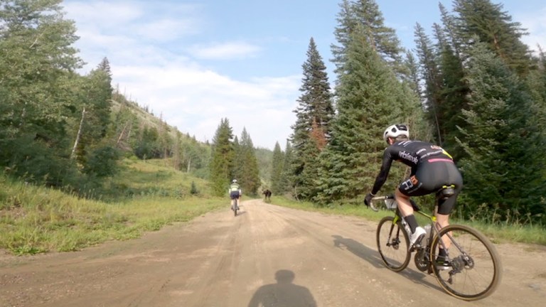 Bicyclists Race Moose in Colorado