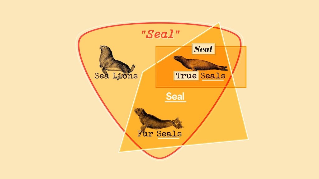 How to Identify Seals From Sea Lions