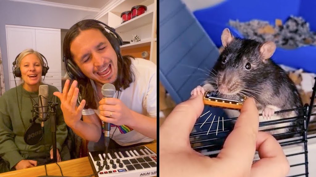 Kiffness Pet Rat Harmonica Remix