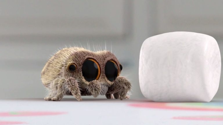 Lucas the Spider Marshmallow