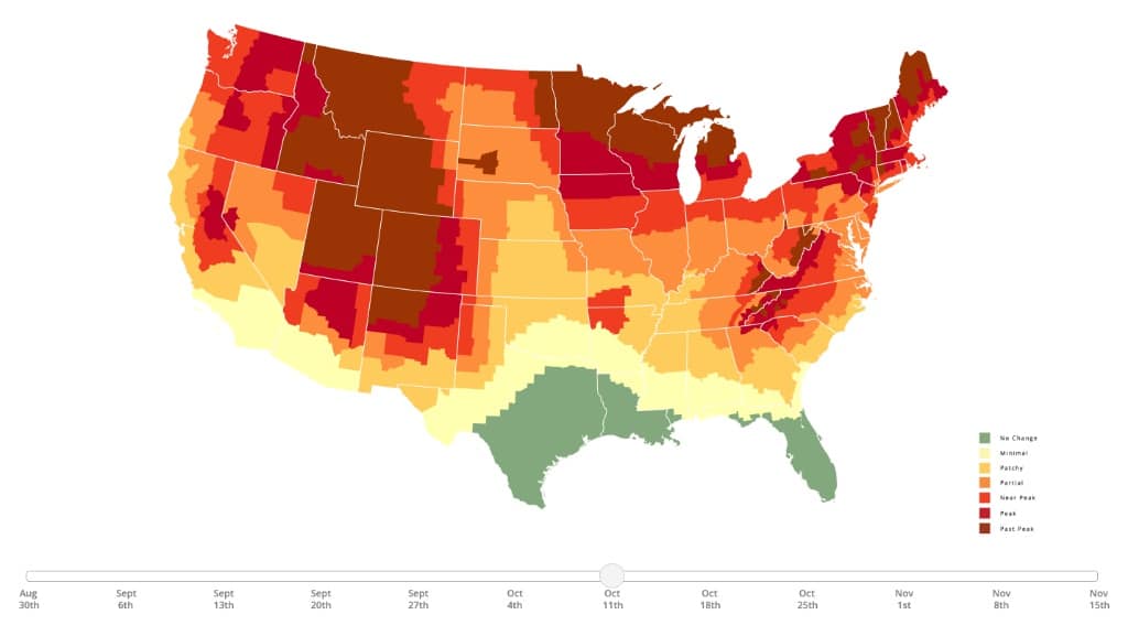 An Interactive Map That Predicts the Best Time to View Changing Leaves ...