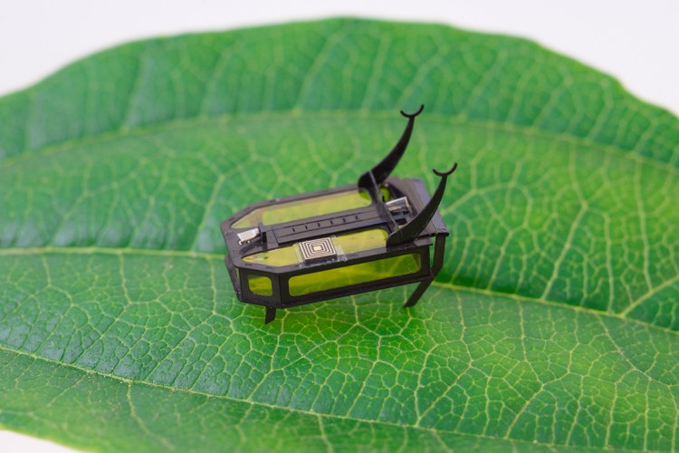 RoBeetle Worlds Smallest Crawling Robot