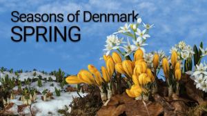 Seasons of Denmark Spring