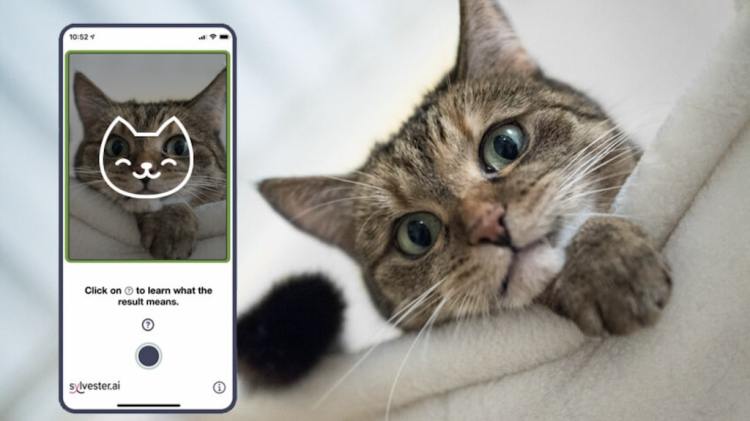Tably, A Helpful Camera App That Uses Artificial Intelligence to ...