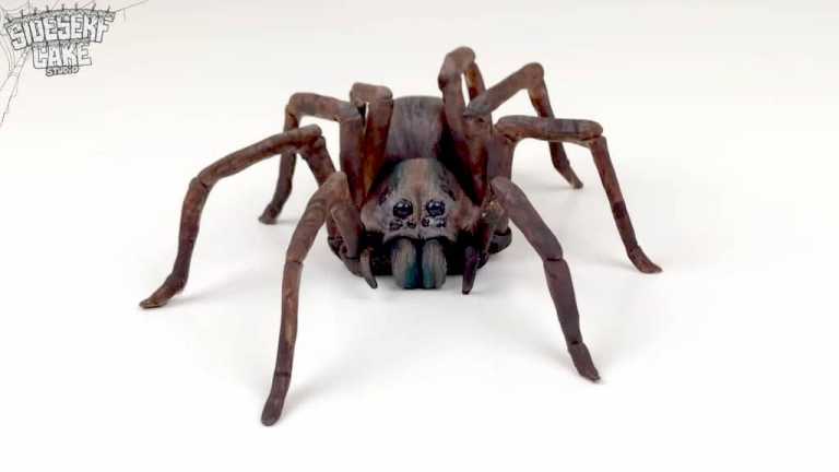 Creepy Wolf Spider Cake