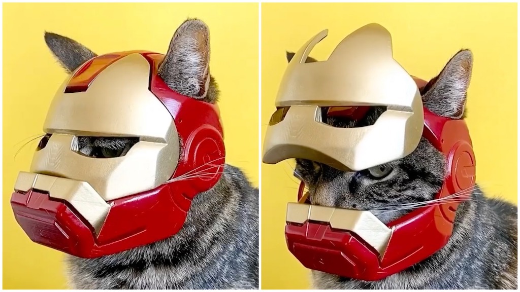 Iron Man Helmet for Cat