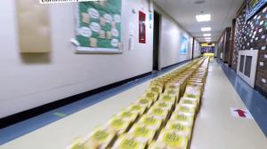 Longest Cereal Box Dominoes Guinness World Records