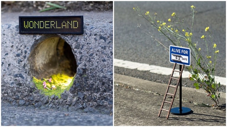 Tiny Street Signs for Tiny Circumstances