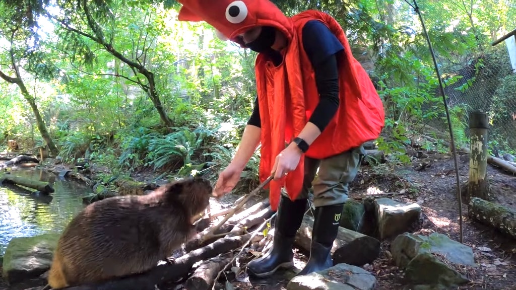 Beavers Go Trick-or-Treating Around the Oregon Zoo