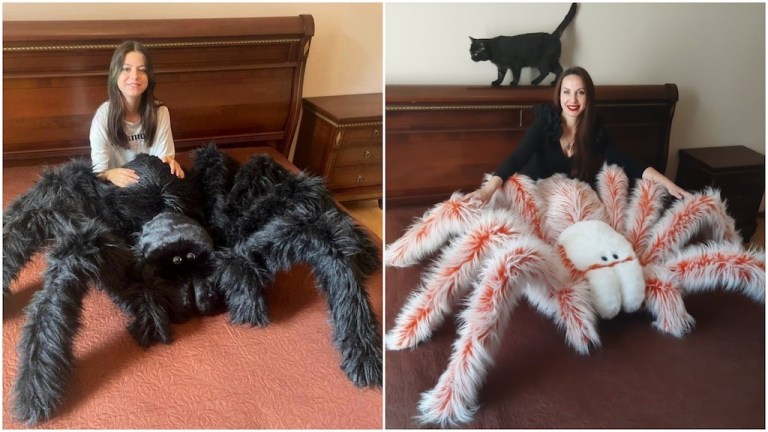 Giant Tarantula Pillows