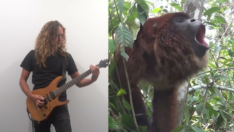 Heavy Metal Howler Monkey