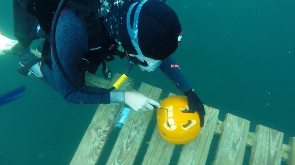 How to Carve a Pumpkin Underwater While Suba Diving
