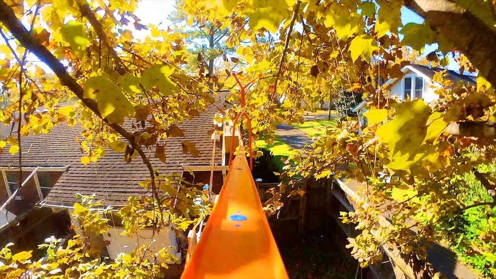 Backyard Racing Treetop Gondola