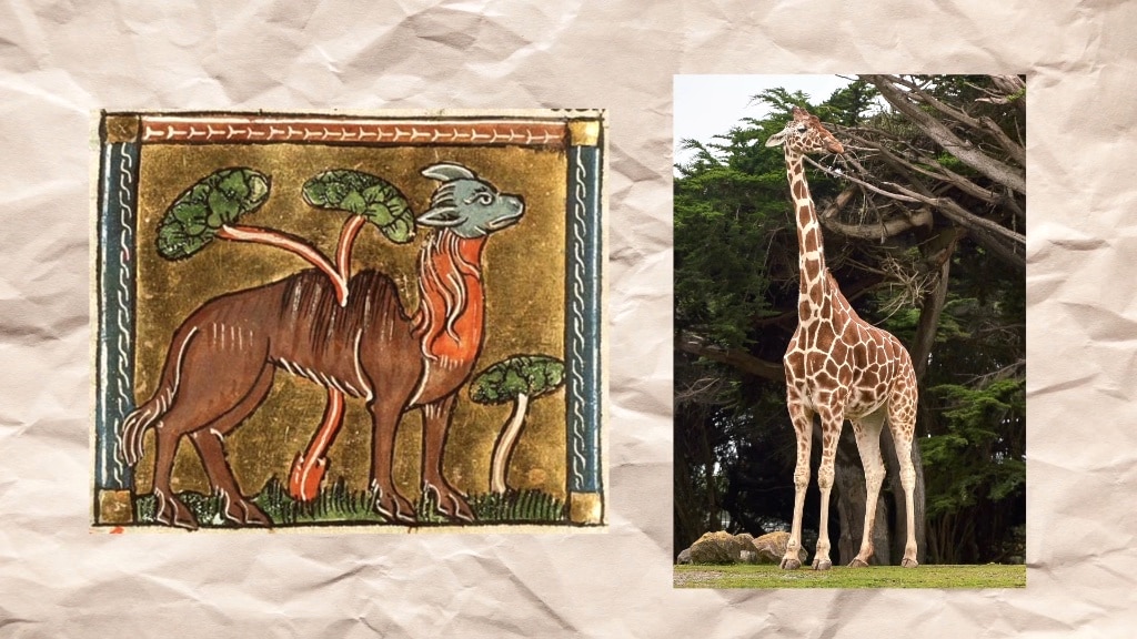 Amusingly Inaccurate Medieval Animal Depictions