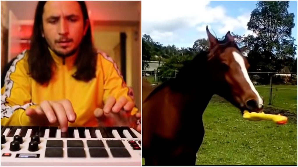 A Horse Making Music With a Rubber Chicken Is Remixed With a Danceable