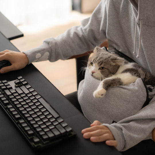Nyangaroo Gamer Hoodie With Cat Pouch Keyboard